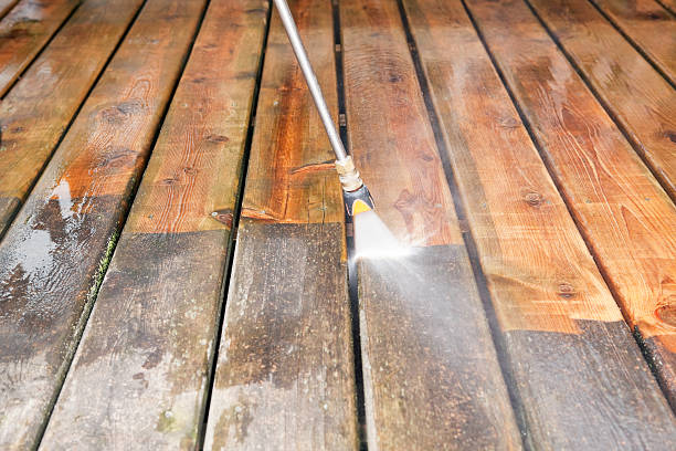 Best Driveway Pressure Washing  in Fort Valley, GA